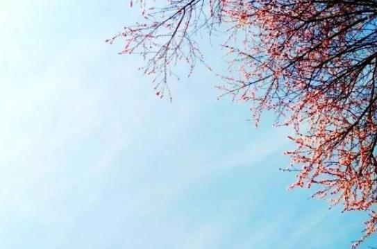 山西财经大学2015-2017年各省市区录取分数线