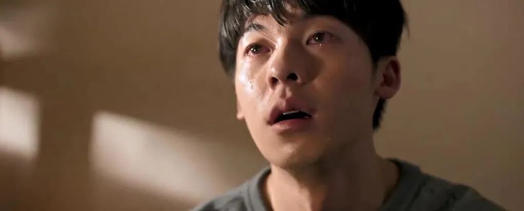 五月新片多到炸，你的首选是哪一部