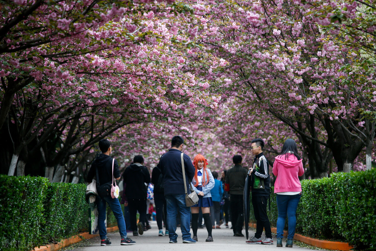 西安交通大学VS西北工业大学美术设计类专业谁是第一，谁是第二？