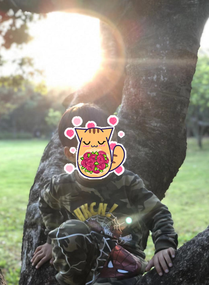 在哪里上大学可以去上市公司实习？平民生活角度看深圳-深圳大学