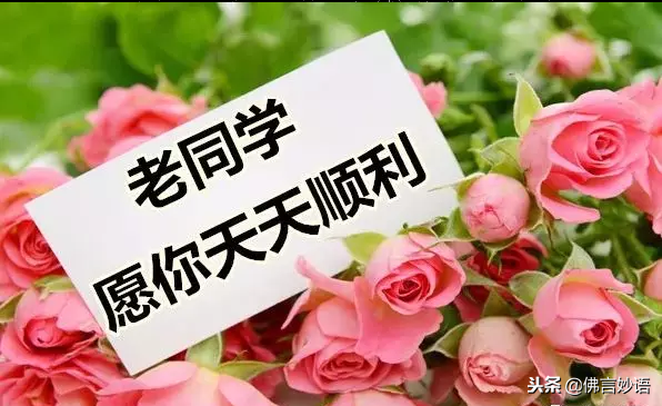 佛言妙语】同学情，永难忘，祝福每一位老同学平安，健康，快乐！