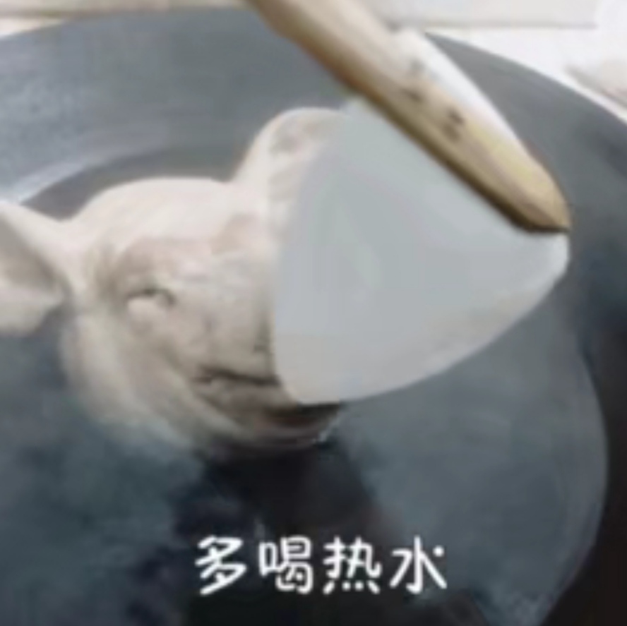 表情包：追什么风啊，你能不能学学风，撞进我怀里