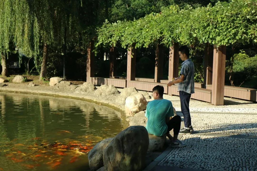 “我”在沈阳大学挺好的•萌新日记