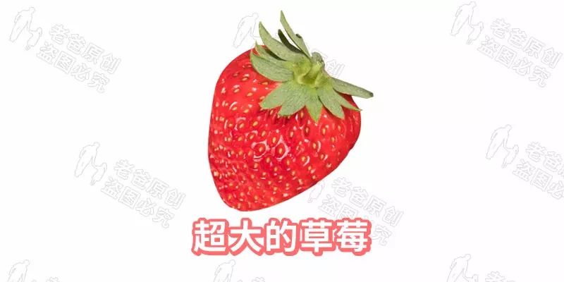 畸形草莓、空心草莓、超大个草莓，这样的草莓你敢吃吗？