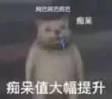 “奇怪的知识增加了！”什么梗？笑到抽搐