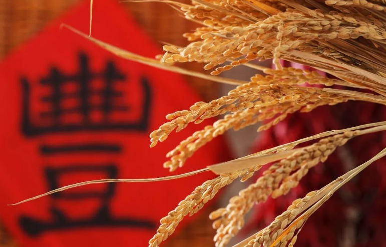 一说“处暑雨，粒粒皆是谷”，又说“下雨万人愁”，下雨好不好？