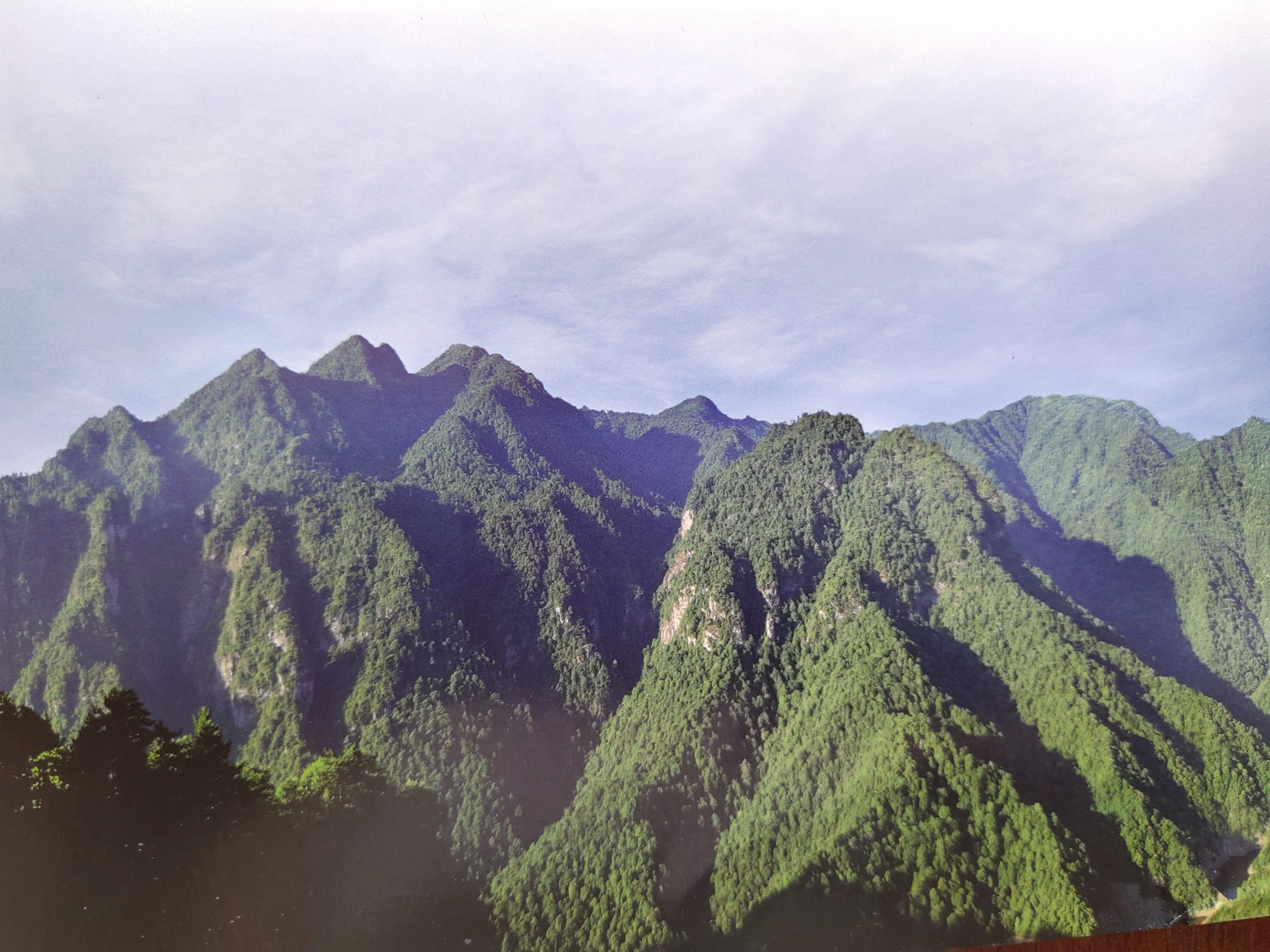 胡刚毅诗歌评论二篇