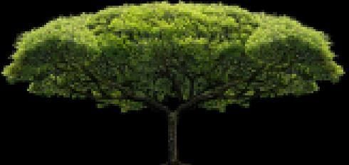 干货分享：手机如何修改证件照片大小和分辨率