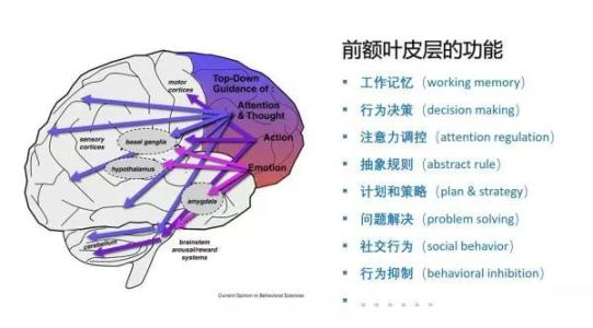 一紧张就会话也说不清楚，发挥失常？聪明的人都在用这3小技巧