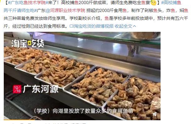 高职高考必看｜全面了解河源职业技术学院