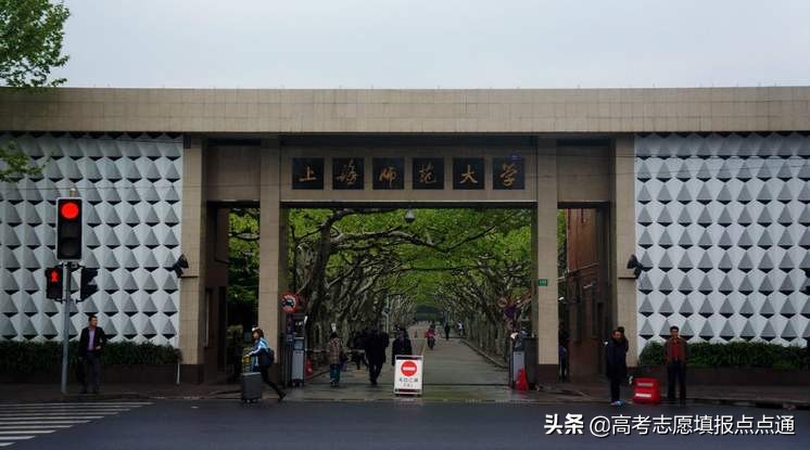 上海师范大学专升本（上海师范大学优势专业分析及2019）