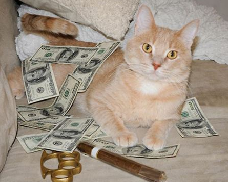 招财猫告诉你这是不可能的