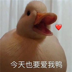 车牌被盗、损毁不要慌，电动自行车号牌如何挂失补办？一文全看懂