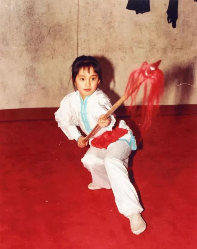 王智：7岁习武少林拳，和佟丽娅同班，中戏毕业后却跑去当了村官