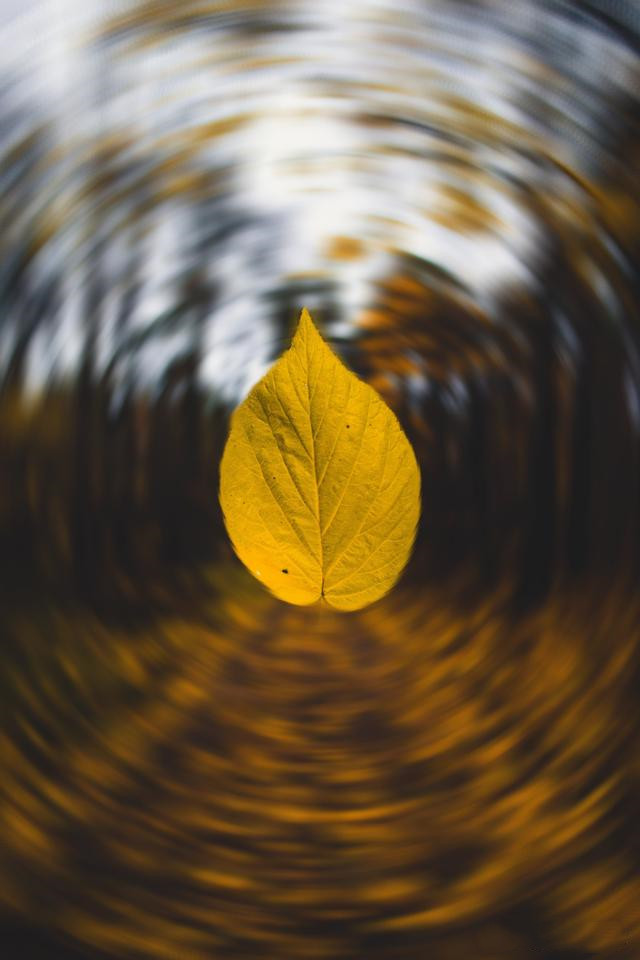 赏读：一程山水一年华，一路风雨度人生
