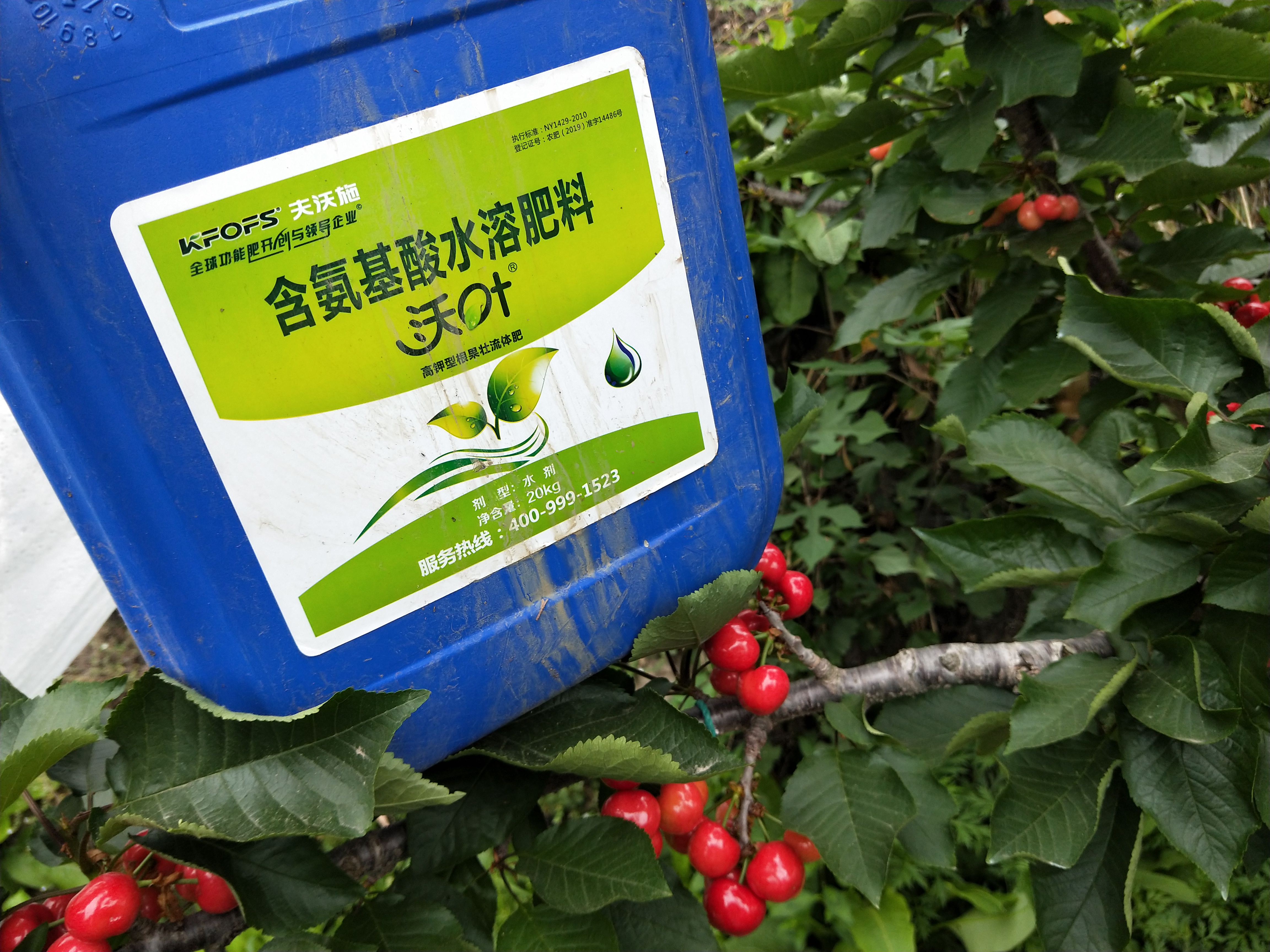 大櫻桃保花保果，哪家水溶肥好？