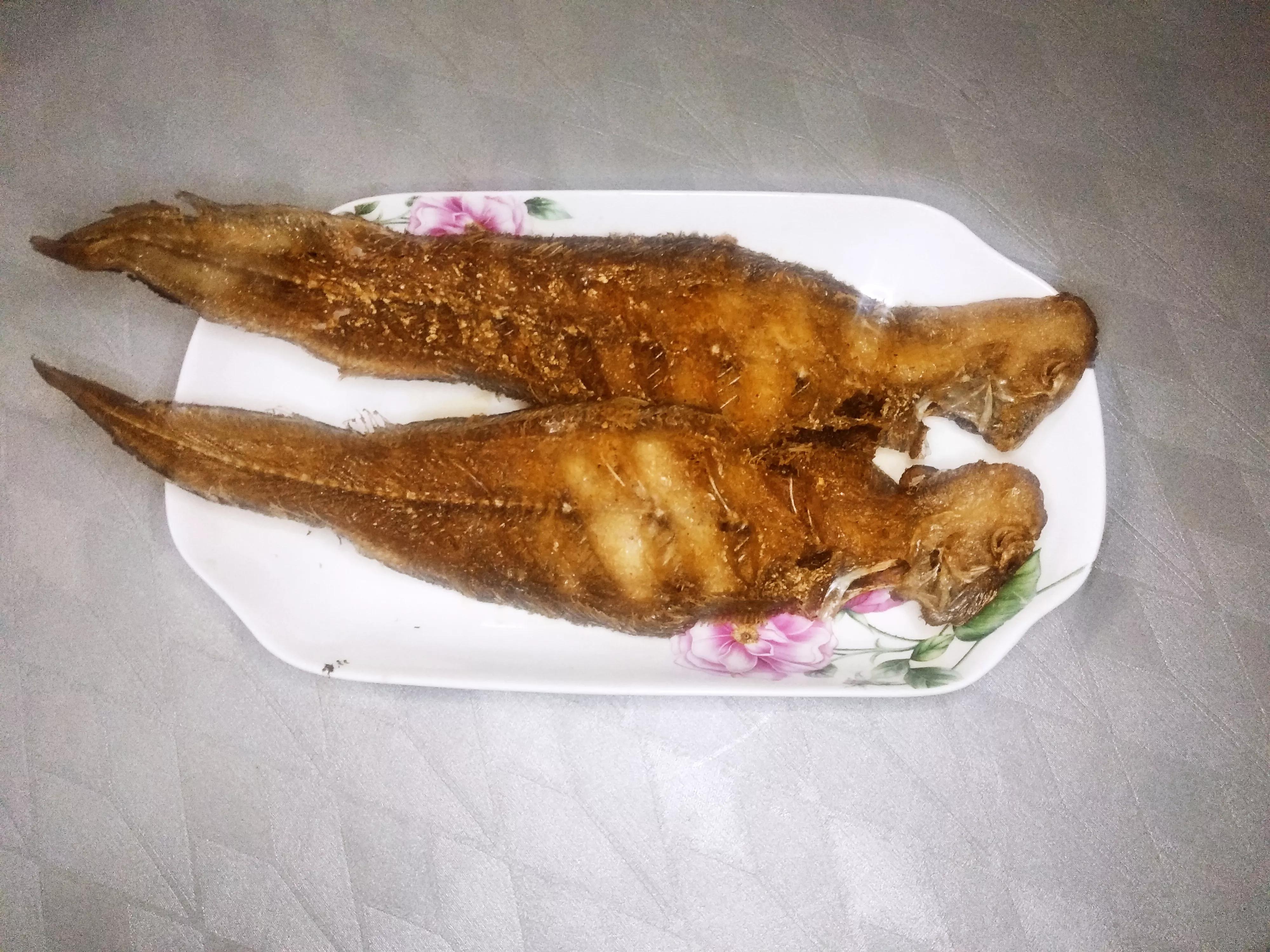 海魚的種類圖片,海魚種類名稱圖片大全