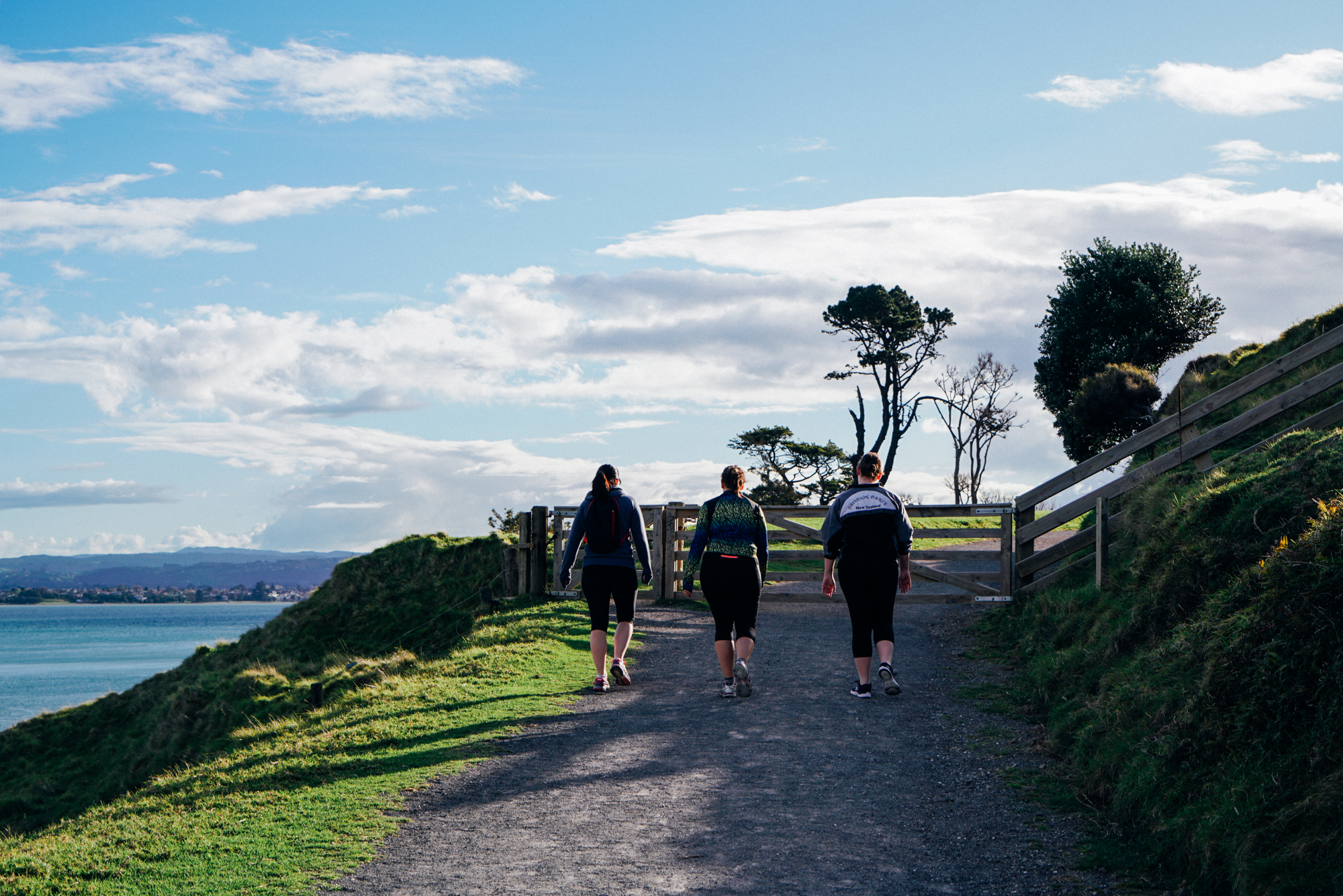 为何国人不爱去的新西兰北岛,拥有杰出的匠人和神奇的自然风景?
