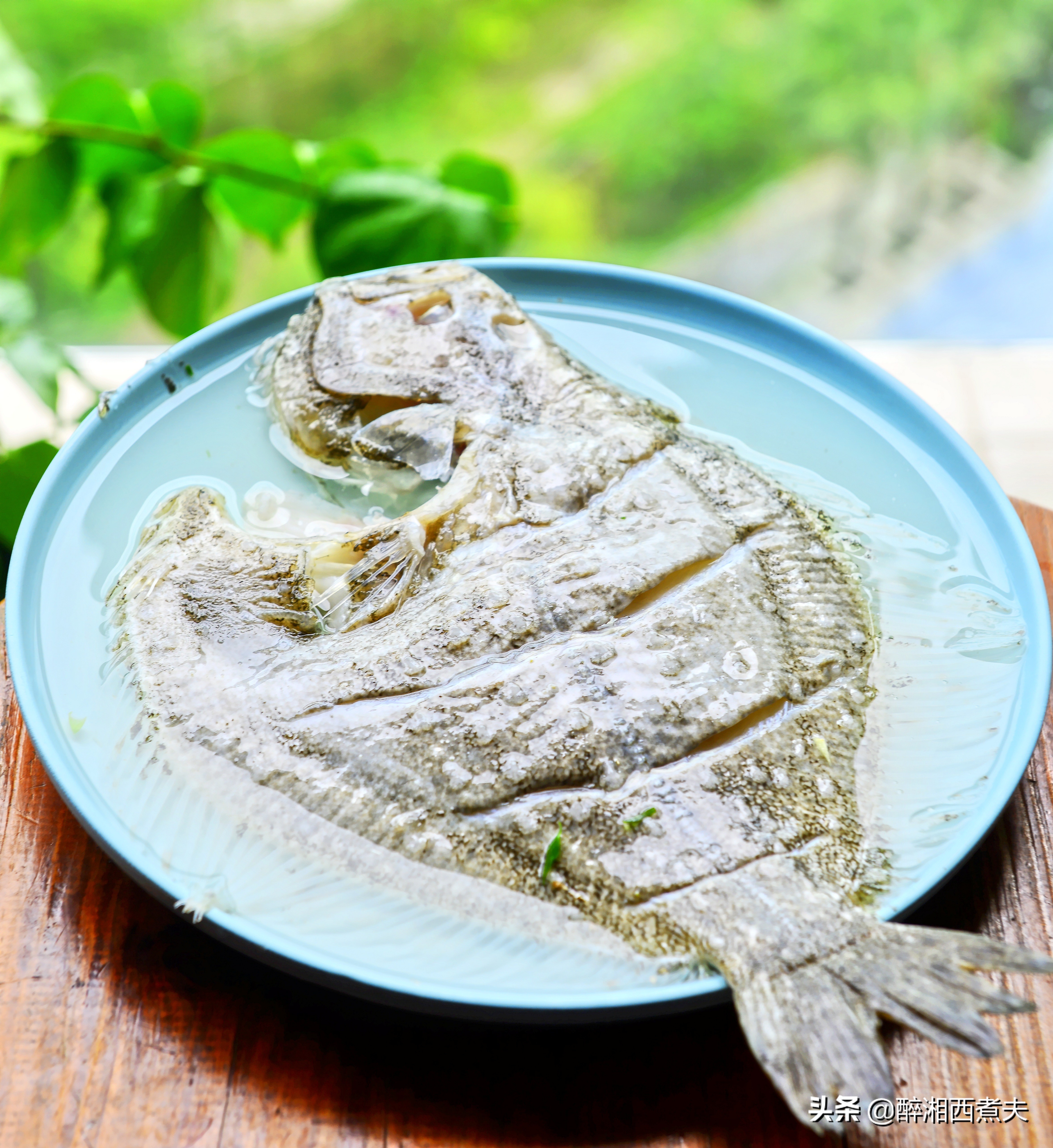 多宝鱼无鳞却很腥？一招教你轻松搞定去腥！清蒸多宝鱼鲜嫩又肥美