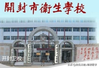 河南十所卫校，四所被本科院校兼并，六所合并到高职院校