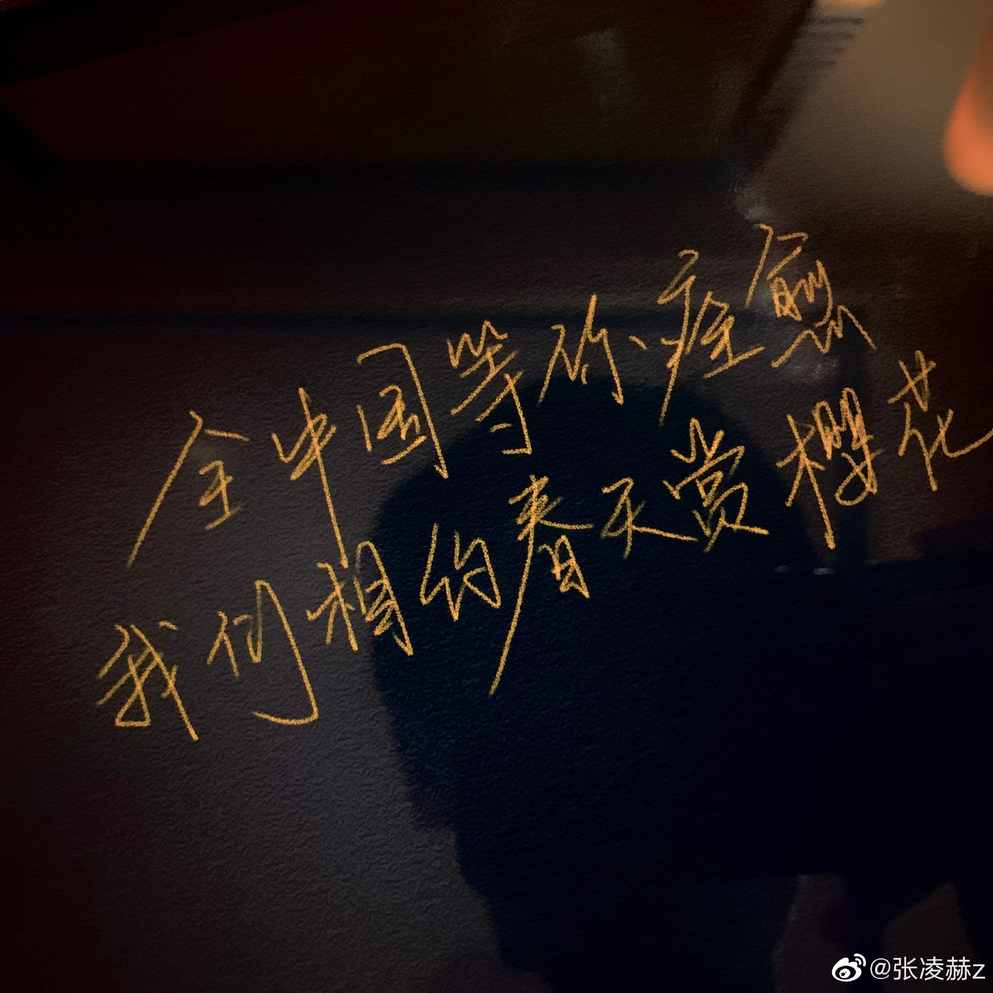 预定顶流？盘点未播双男主剧中的潜力股，谁将成为“财富密码”？