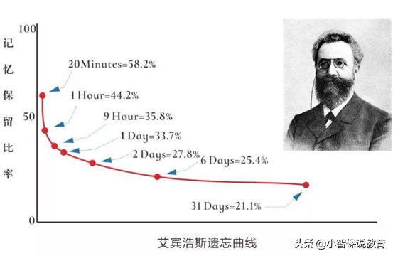 什么是艾宾浩斯遗忘曲线？利用这一记忆规律可以提升孩子记忆力