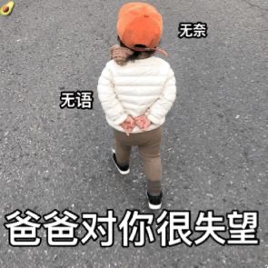 表情包：爸爸对你很失望