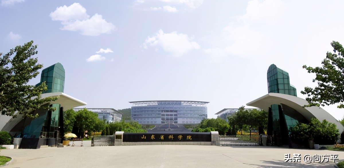 艺术生备考详解：山东省综合排名前10大学美术类招录分析