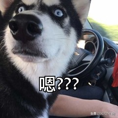 如何将MP4转换为MPG？这个方法超简单