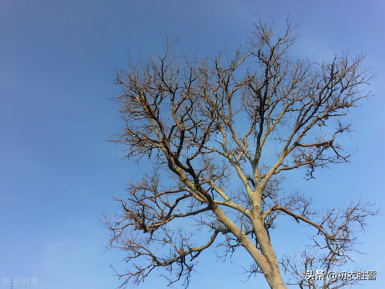 立冬节气古诗六首：寒色不遮万山翠，忽见桃花出小红