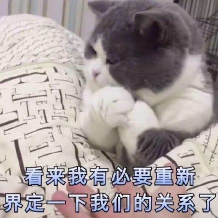 猫咪威胁表情包｜你说完了没有