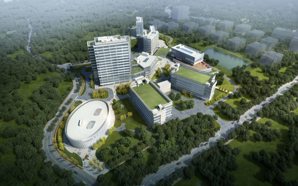 凿壁者，从伯克利到东莞