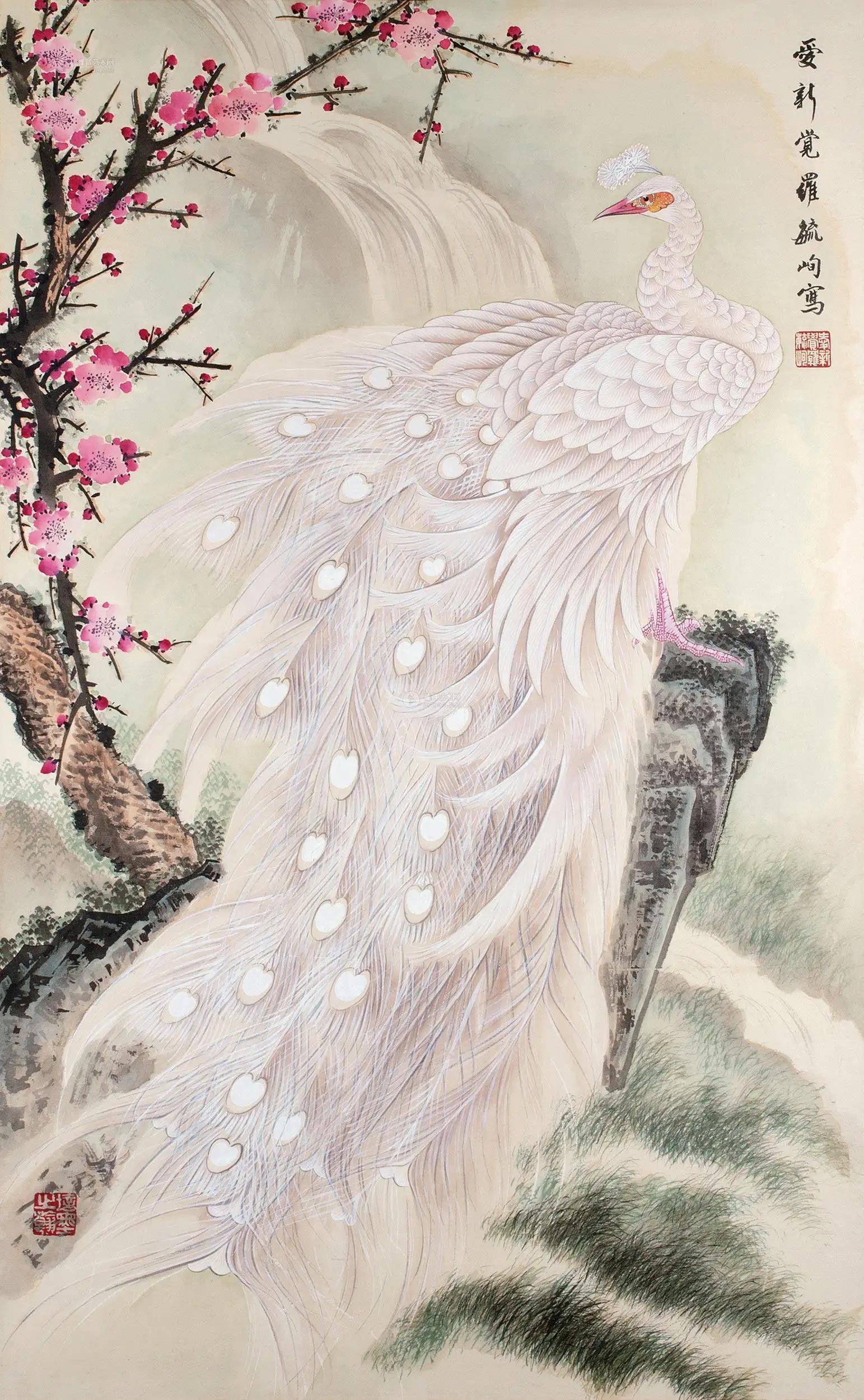 孔雀东南飞！高贵、冷艳的白孔雀