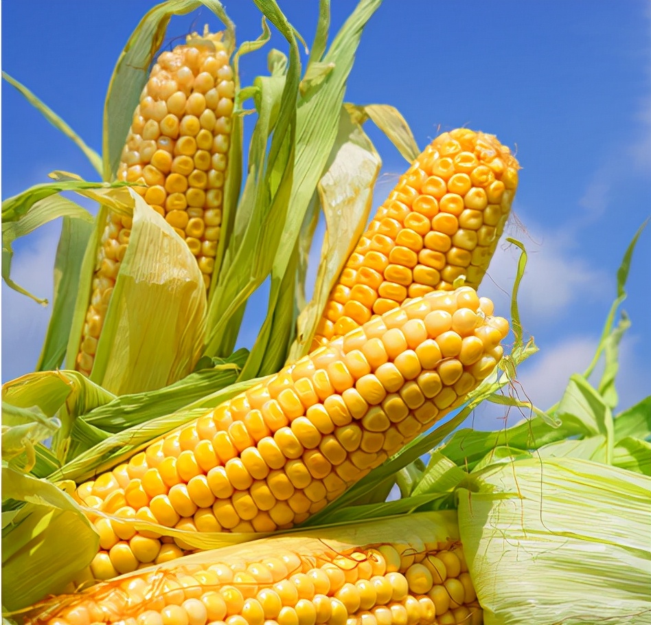 从被制约到领先国际，这所“国字号”大学创下多个“首次”，打破国外垄断！