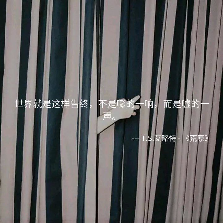 14个冷艳的小句子：回忆是涂满剧毒的利刃，专刺多愁善感的人