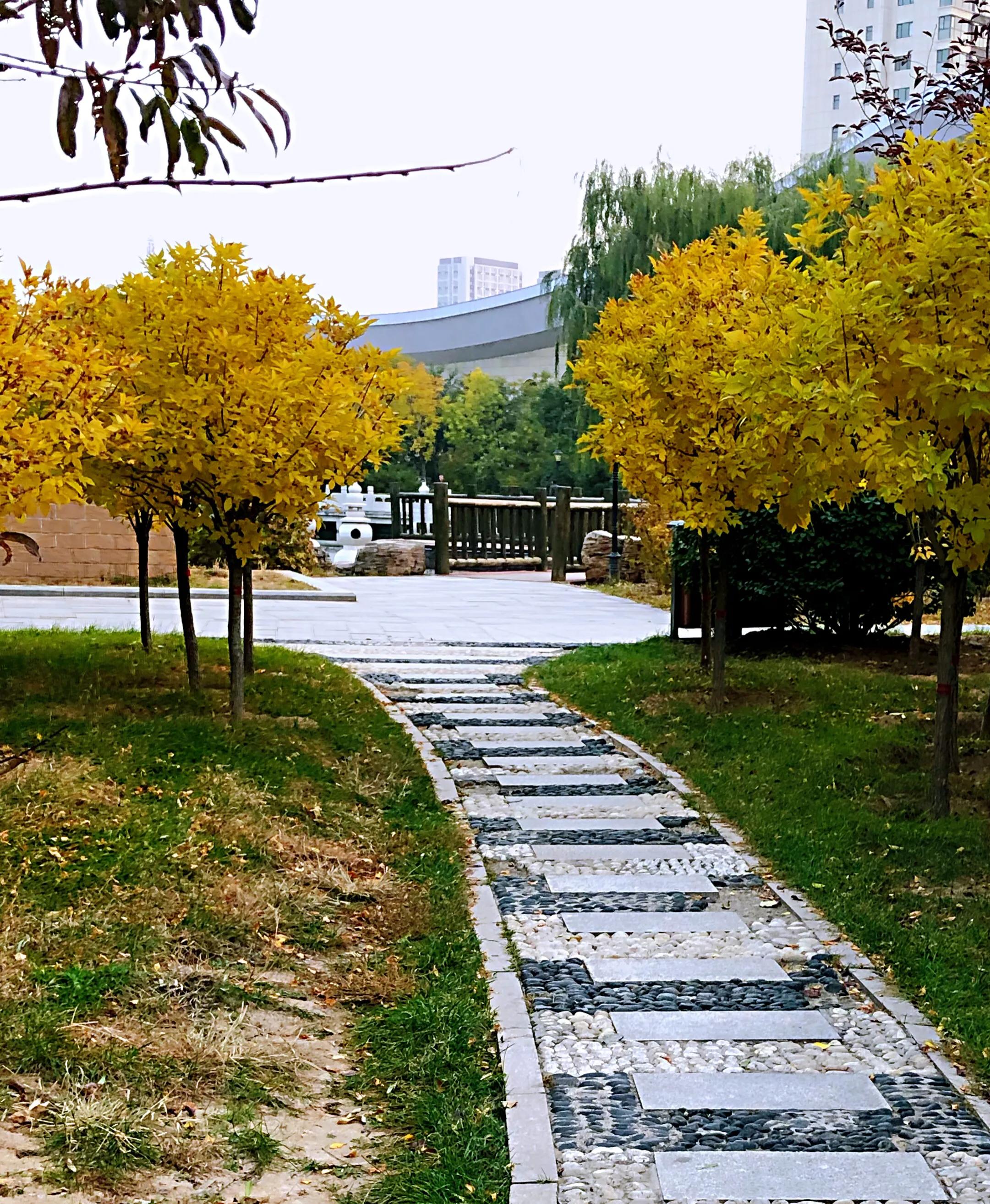 遇到很美的秋·图说深秋