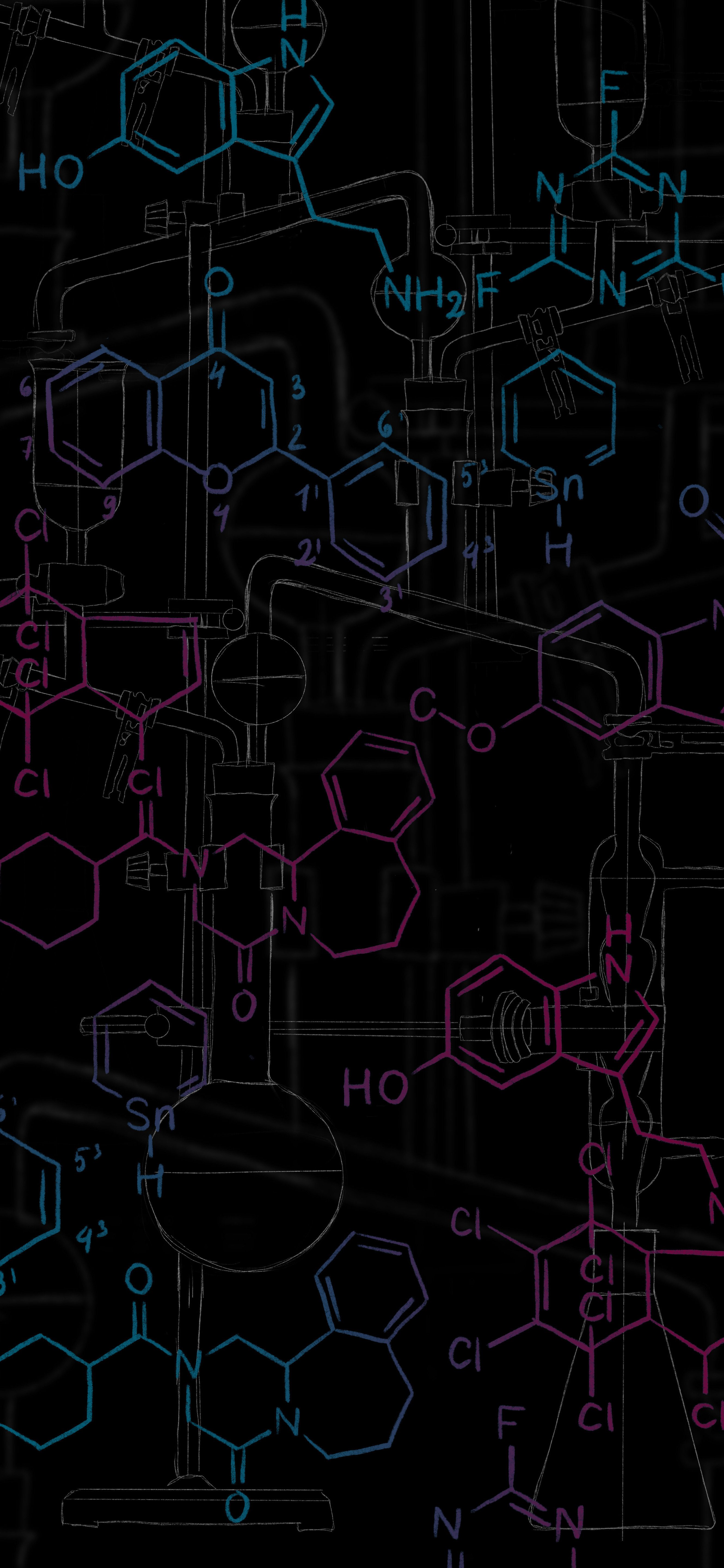 壁纸｜个性“科学公式”高清手机壁纸