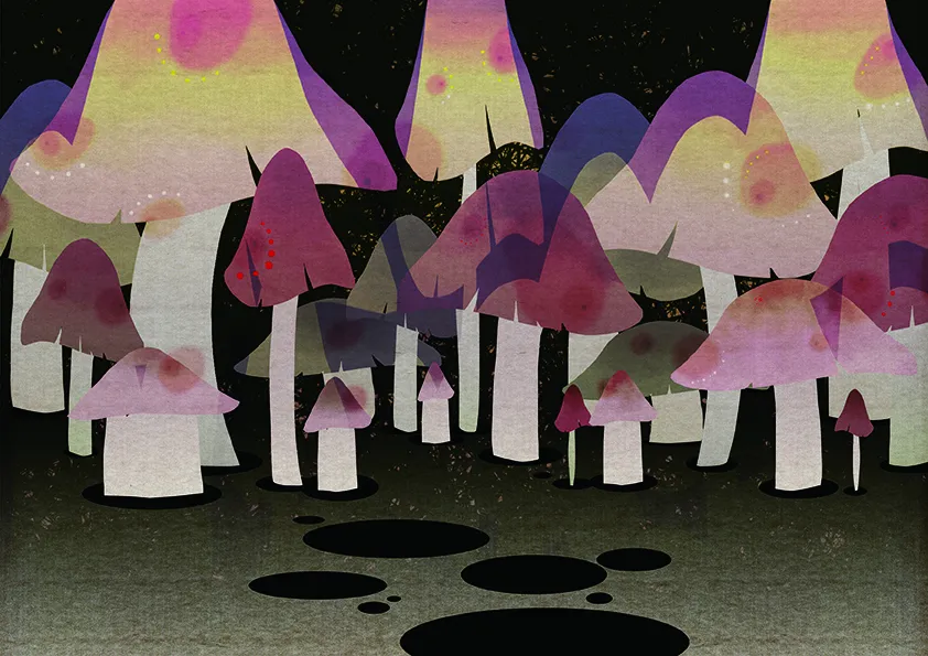 南京师范大学美术学院动画系毕业展——插画类作品展示