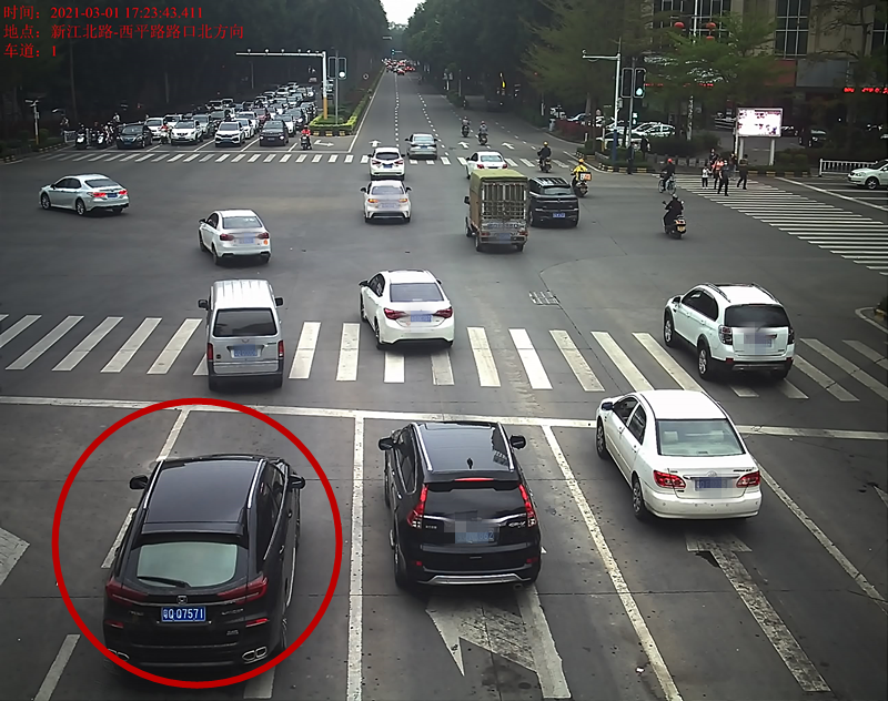 交通违法曝光！
