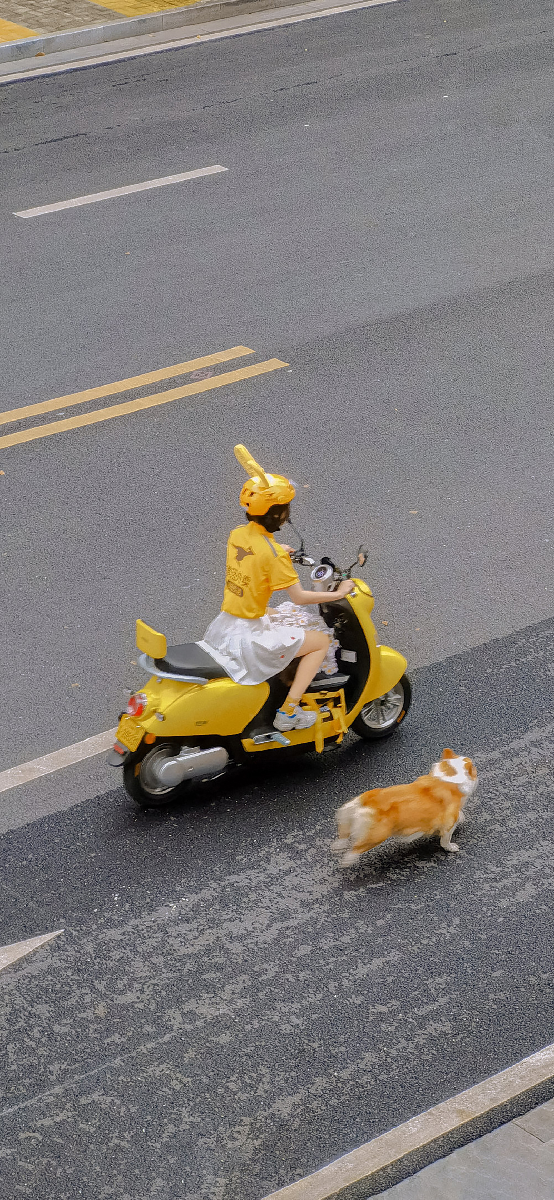 手机壁纸解锁幸运的一天