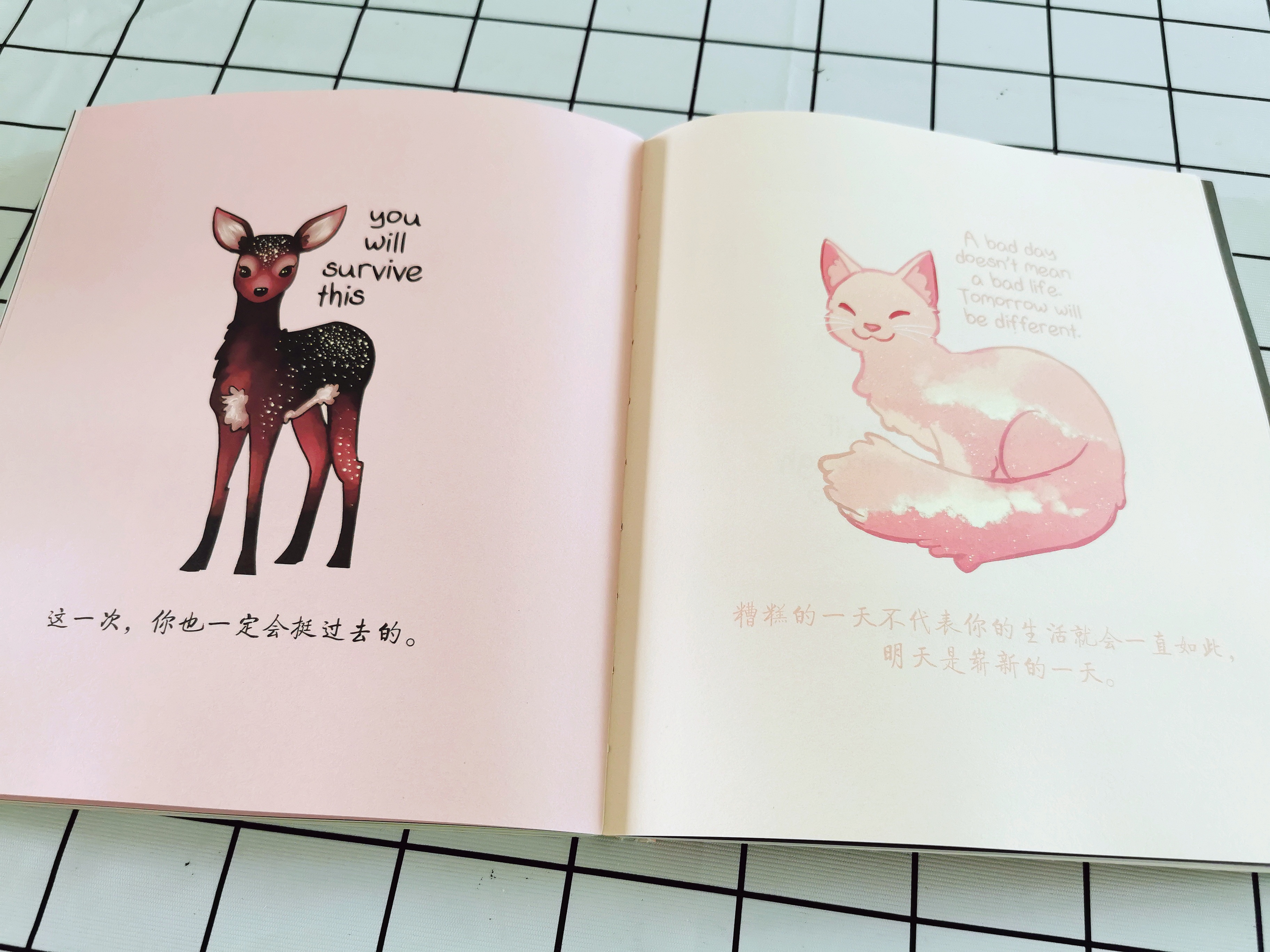 柔软内心藏锋芒，如刺猬般温柔而独立