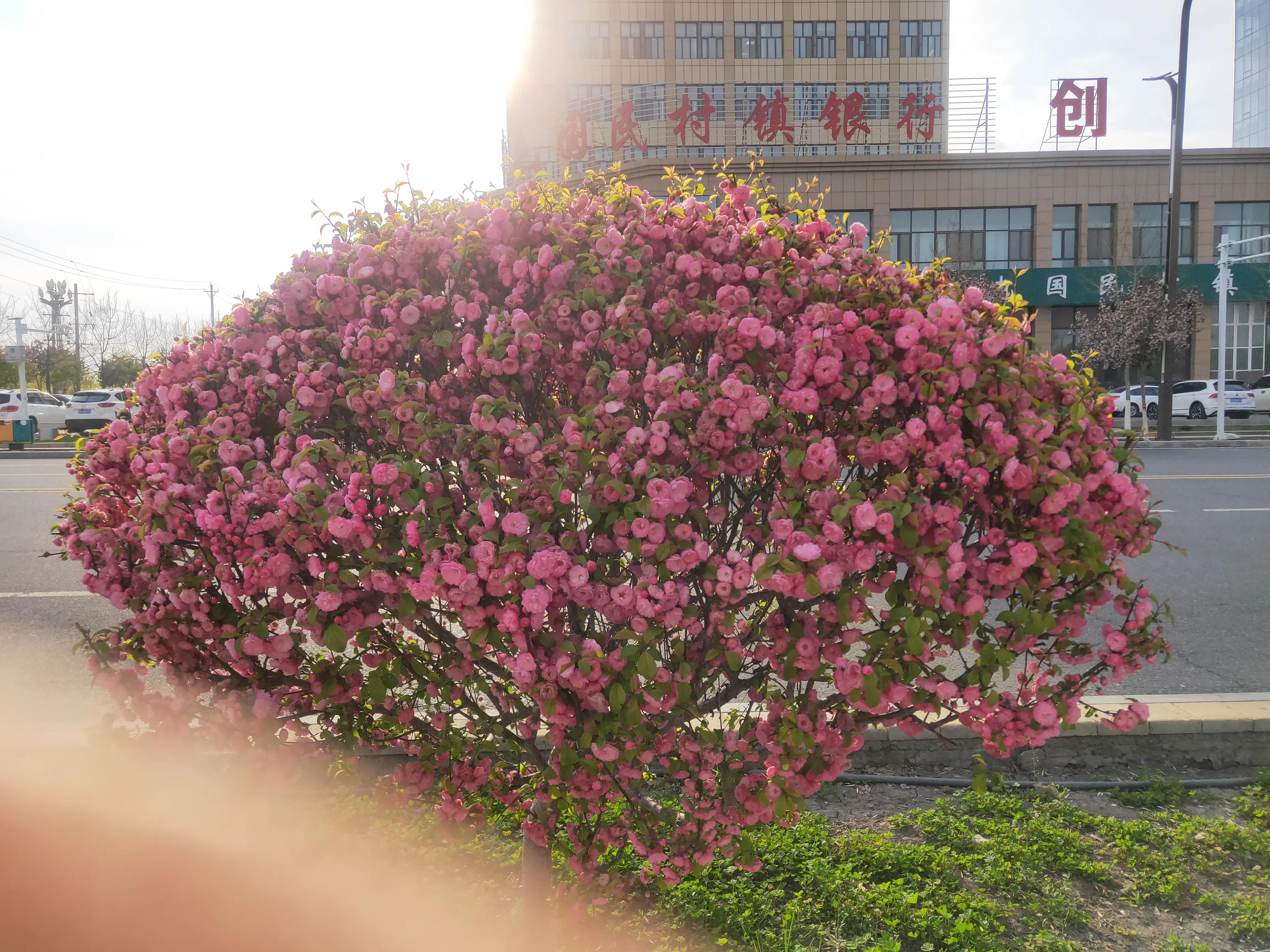 35所大学联盟您知多少？（今天讲20个，后面继续）（最全总结！）