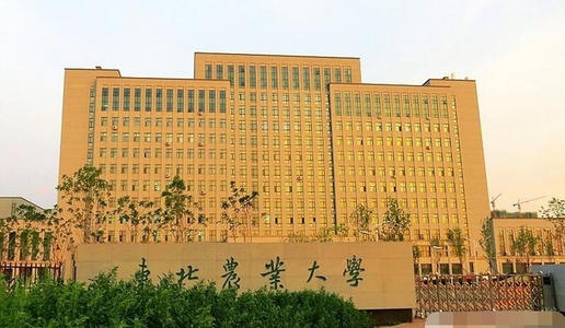 黑龙江省大学档次排位，共八档！附高考分数线，497分上211