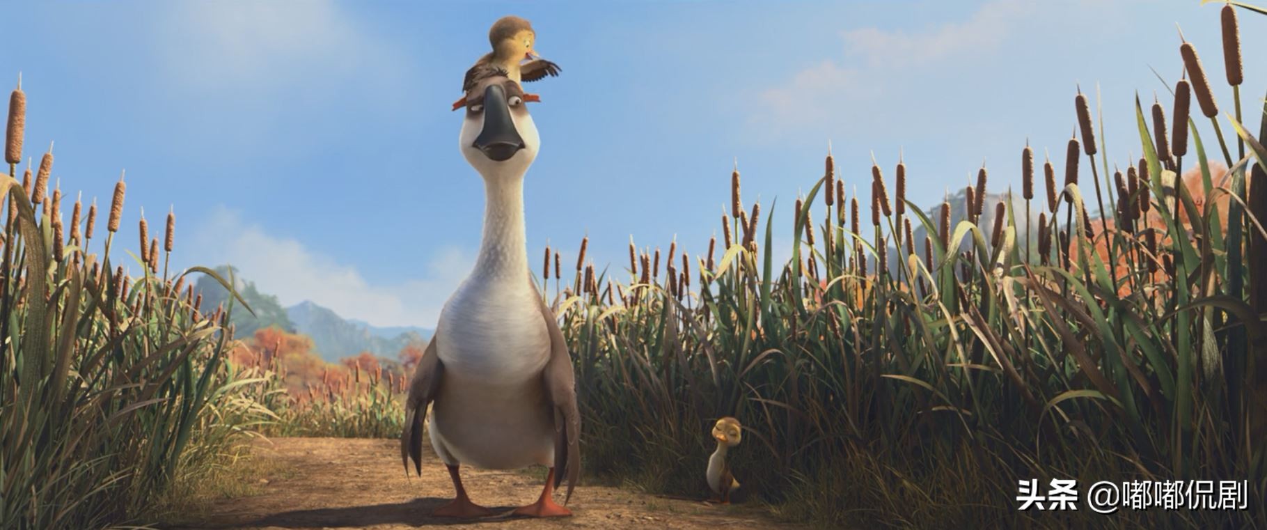 《妈妈咪鸭》：国产喜剧动画的又一佳作，你真的看懂了吗？