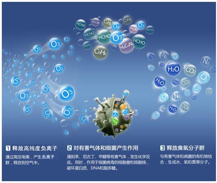 甲醛需要怎么做才能除去便宜5