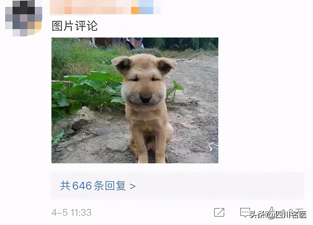 智齿到底要不要拔？一次拔几颗？什么时候拔？终于讲清楚了