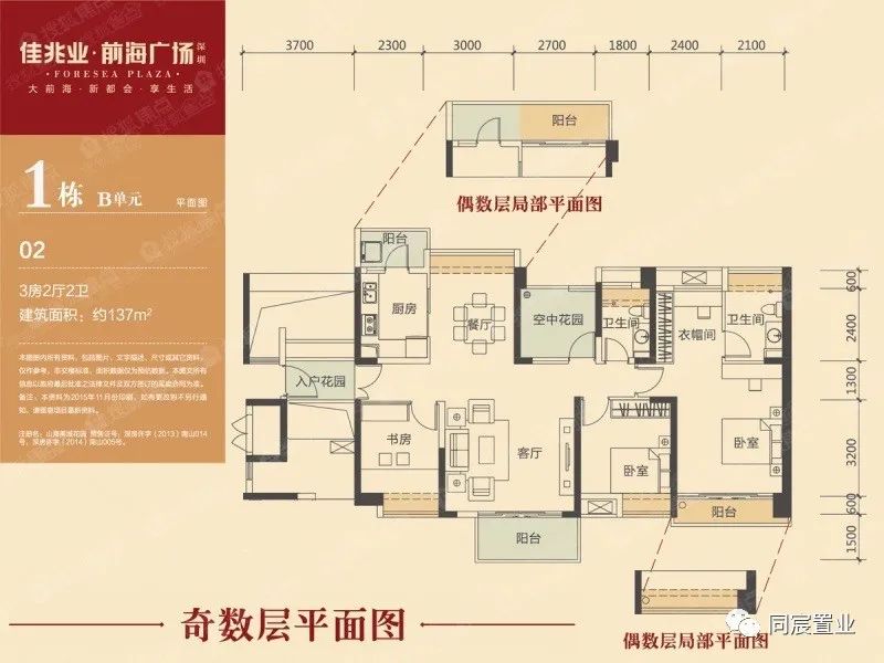 深圳大学优秀生源基地，深大附属教育集团(下)