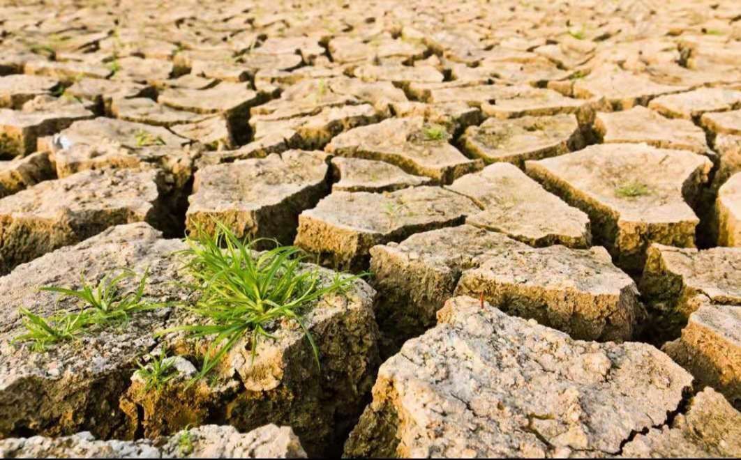 脱离中国多年的蒙古国，开始后悔了吗？