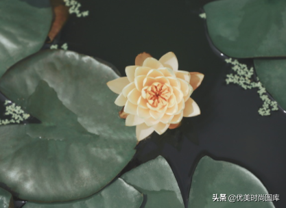 抖音上最火的下雨说说让人点赞 雨天幽默又很正能量的句子图片