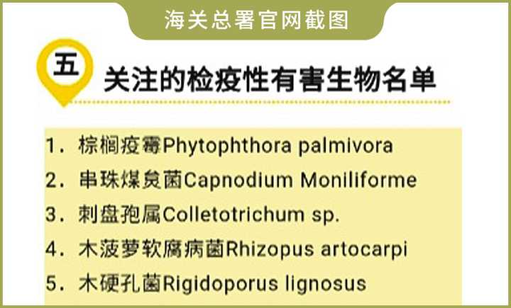 榴莲怎么挑？牢记几招，保你一开一个准